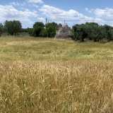 La vista poi dell'ennesimo campo di grano rigoglioso...